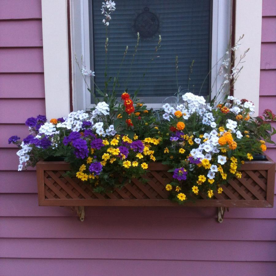 Rose & Thistle Bed & Breakfast Cooperstown Luaran gambar